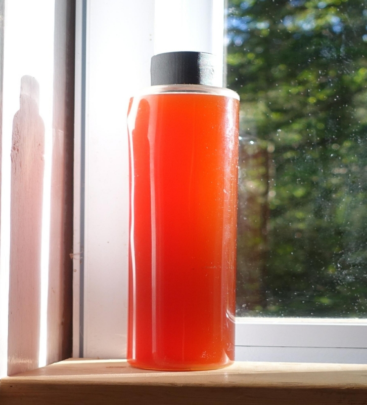 This is the second photo of the same bottle as above. This newer photo shows the red color of the brew even more brilliantly than the first, as it was shot later in the day (on the same day as the first photo) at a time when the bottle was backlit/sidelit by about 35,000 lux of sunlight coming from a much lower angle in the sky. Under this condition, the liquid in the bottle appears almost luminescent; it seems to glow, and the actual color of the liquid is thus greatly highlighted.