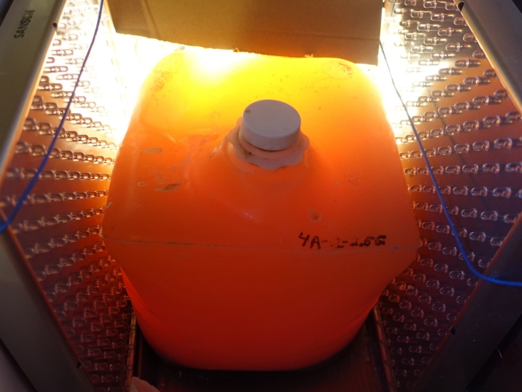 This photo shows PNSB Batch 4A-2-2.5G, a 2.5 gallon batch, after 20 days of fermentation, and at the end of stage 1 of fermentation. For purposes of showing the color, the LED illumination panels in the box were turned off, and the bag was backlit with a 40 watt white tungsten filament incandescent lamp.