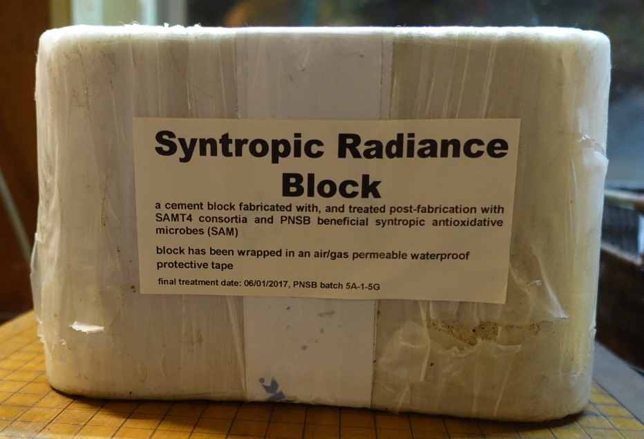 This photo shows the Syntropic Radiance Block.